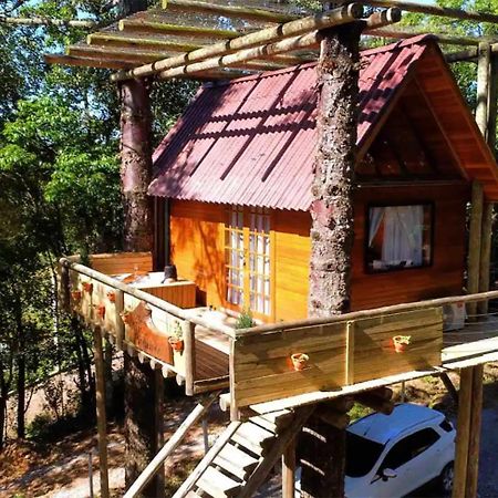 Casa Na Arvore Com Hidro, Piscina, Trilha, Cavalo Bento Gonçalves Esterno foto