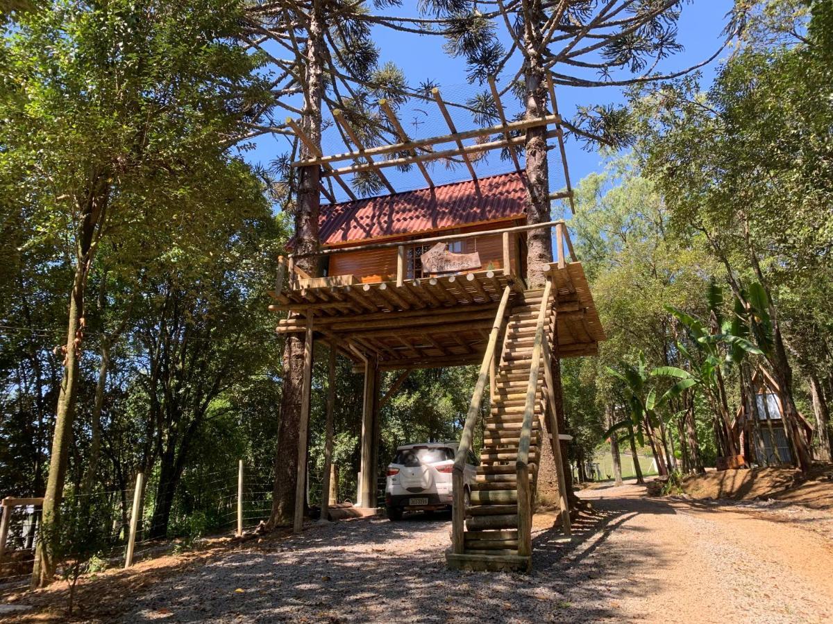 Casa Na Arvore Com Hidro, Piscina, Trilha, Cavalo Bento Gonçalves Esterno foto