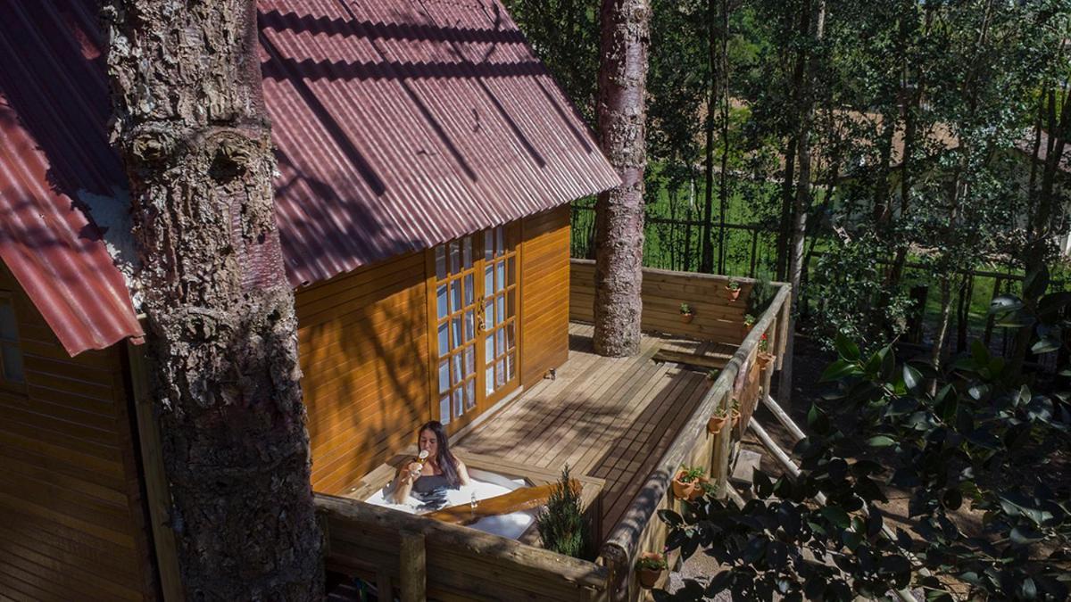 Casa Na Arvore Com Hidro, Piscina, Trilha, Cavalo Bento Gonçalves Esterno foto