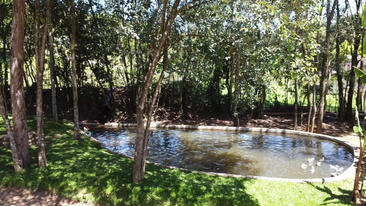Casa Na Arvore Com Hidro, Piscina, Trilha, Cavalo Bento Gonçalves Esterno foto