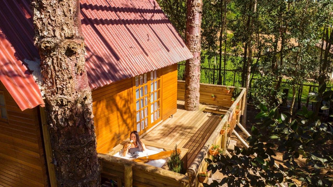 Casa Na Arvore Com Hidro, Piscina, Trilha, Cavalo Bento Gonçalves Esterno foto