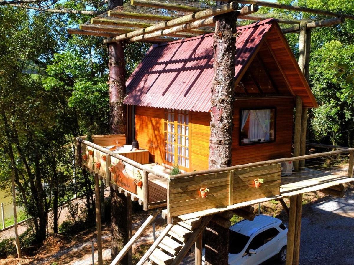 Casa Na Arvore Com Hidro, Piscina, Trilha, Cavalo Bento Gonçalves Esterno foto
