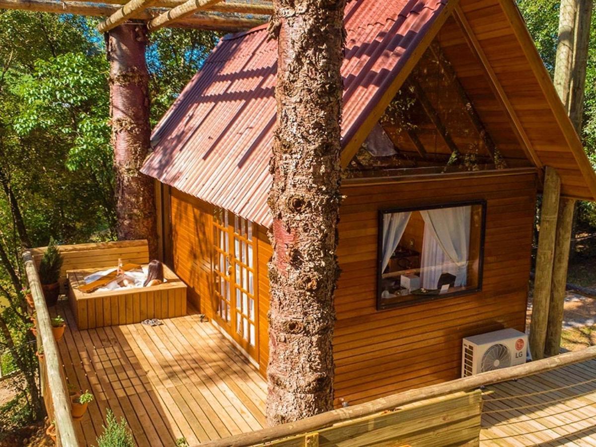 Casa Na Arvore Com Hidro, Piscina, Trilha, Cavalo Bento Gonçalves Esterno foto