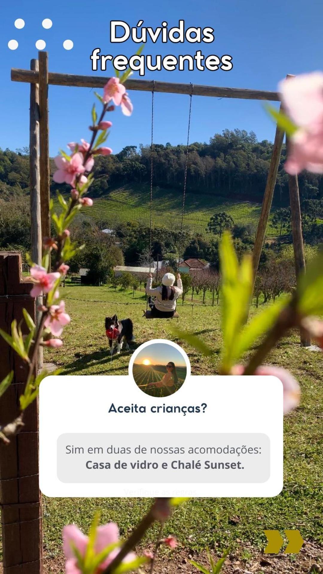 Casa Na Arvore Com Hidro, Piscina, Trilha, Cavalo Bento Gonçalves Esterno foto