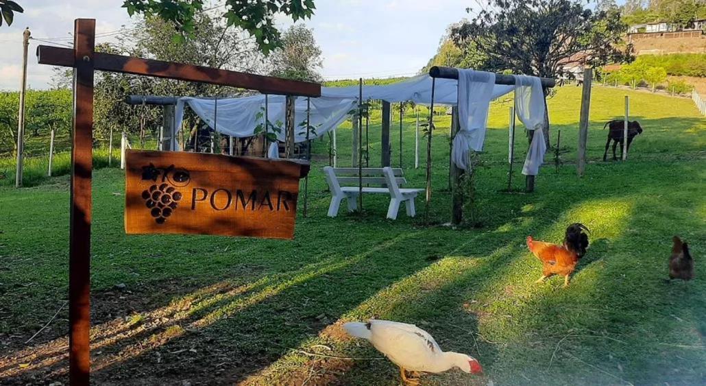 Casa Na Arvore Com Hidro, Piscina, Trilha, Cavalo Bento Gonçalves Esterno foto