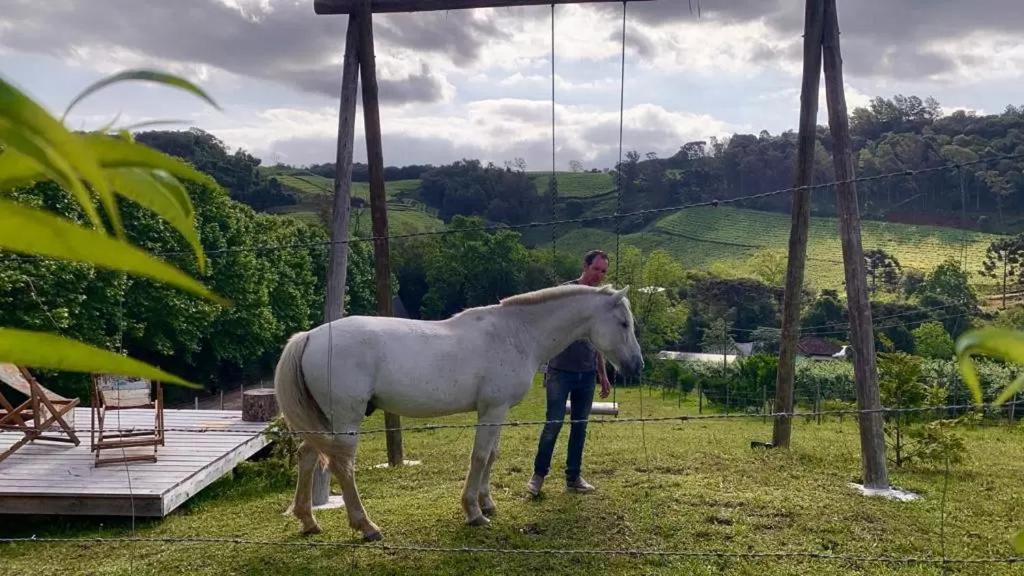 Casa Na Arvore Com Hidro, Piscina, Trilha, Cavalo Bento Gonçalves Esterno foto