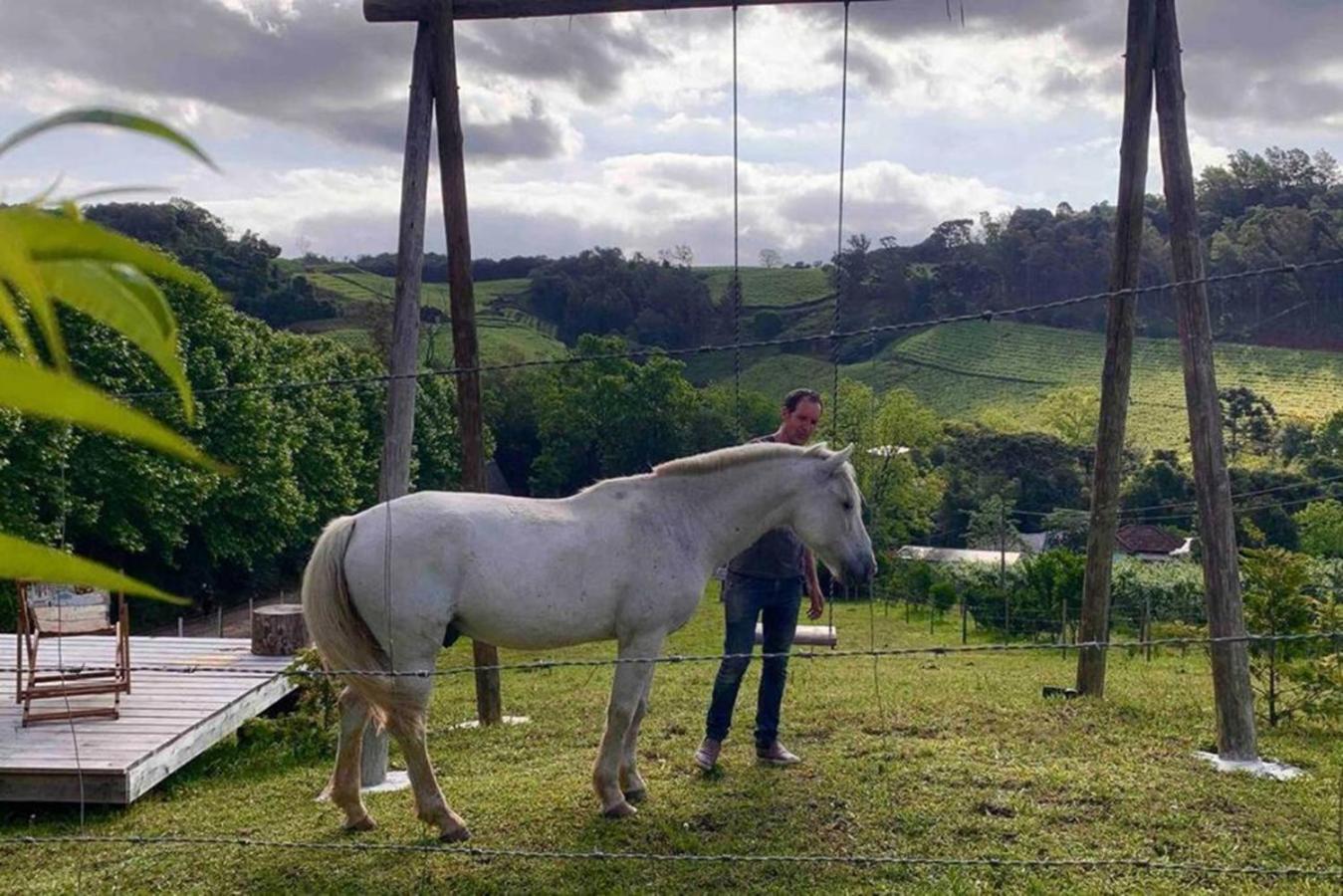 Casa Na Arvore Com Hidro, Piscina, Trilha, Cavalo Bento Gonçalves Esterno foto