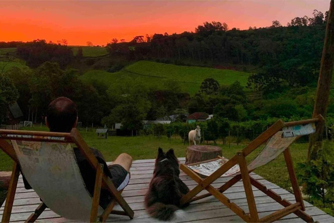 Casa Na Arvore Com Hidro, Piscina, Trilha, Cavalo Bento Gonçalves Esterno foto