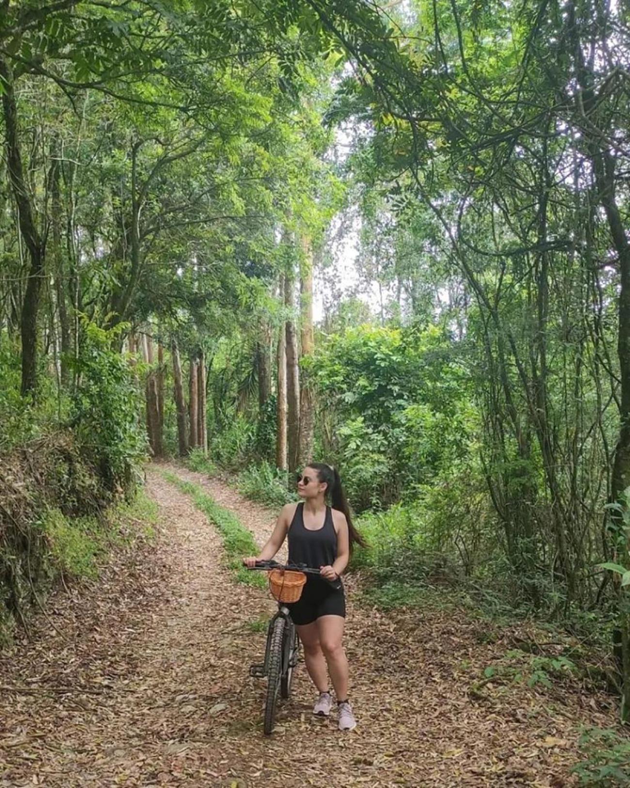 Casa Na Arvore Com Hidro, Piscina, Trilha, Cavalo Bento Gonçalves Esterno foto
