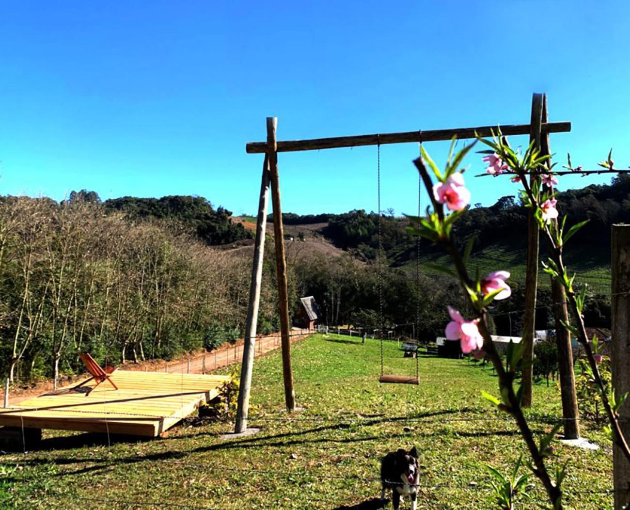 Casa Na Arvore Com Hidro, Piscina, Trilha, Cavalo Bento Gonçalves Esterno foto