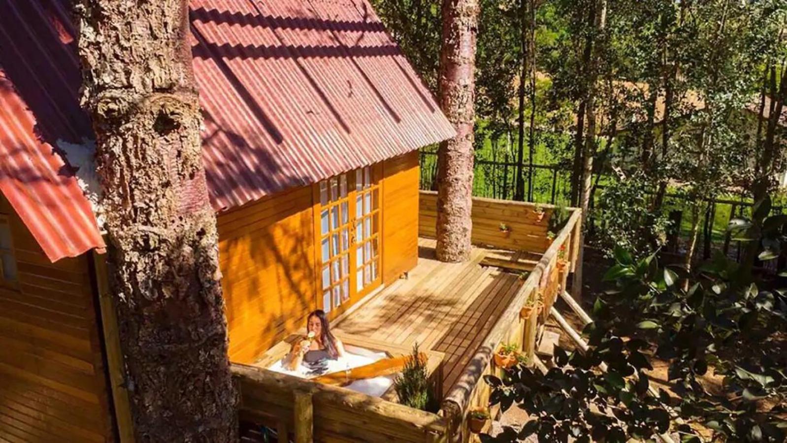 Casa Na Arvore Com Hidro, Piscina, Trilha, Cavalo Bento Gonçalves Esterno foto