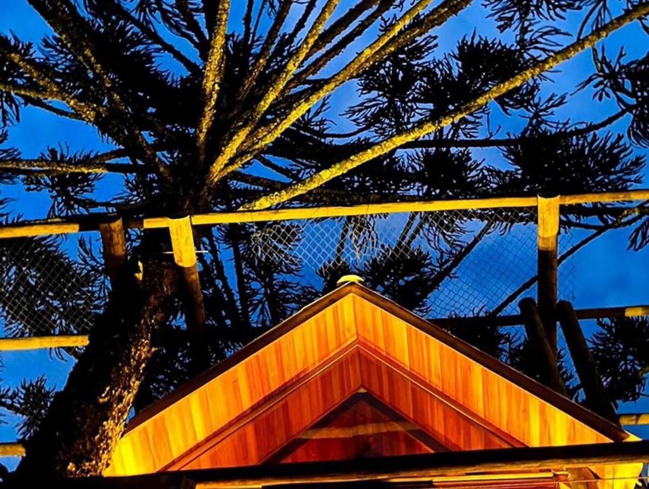 Casa Na Arvore Com Hidro, Piscina, Trilha, Cavalo Bento Gonçalves Esterno foto